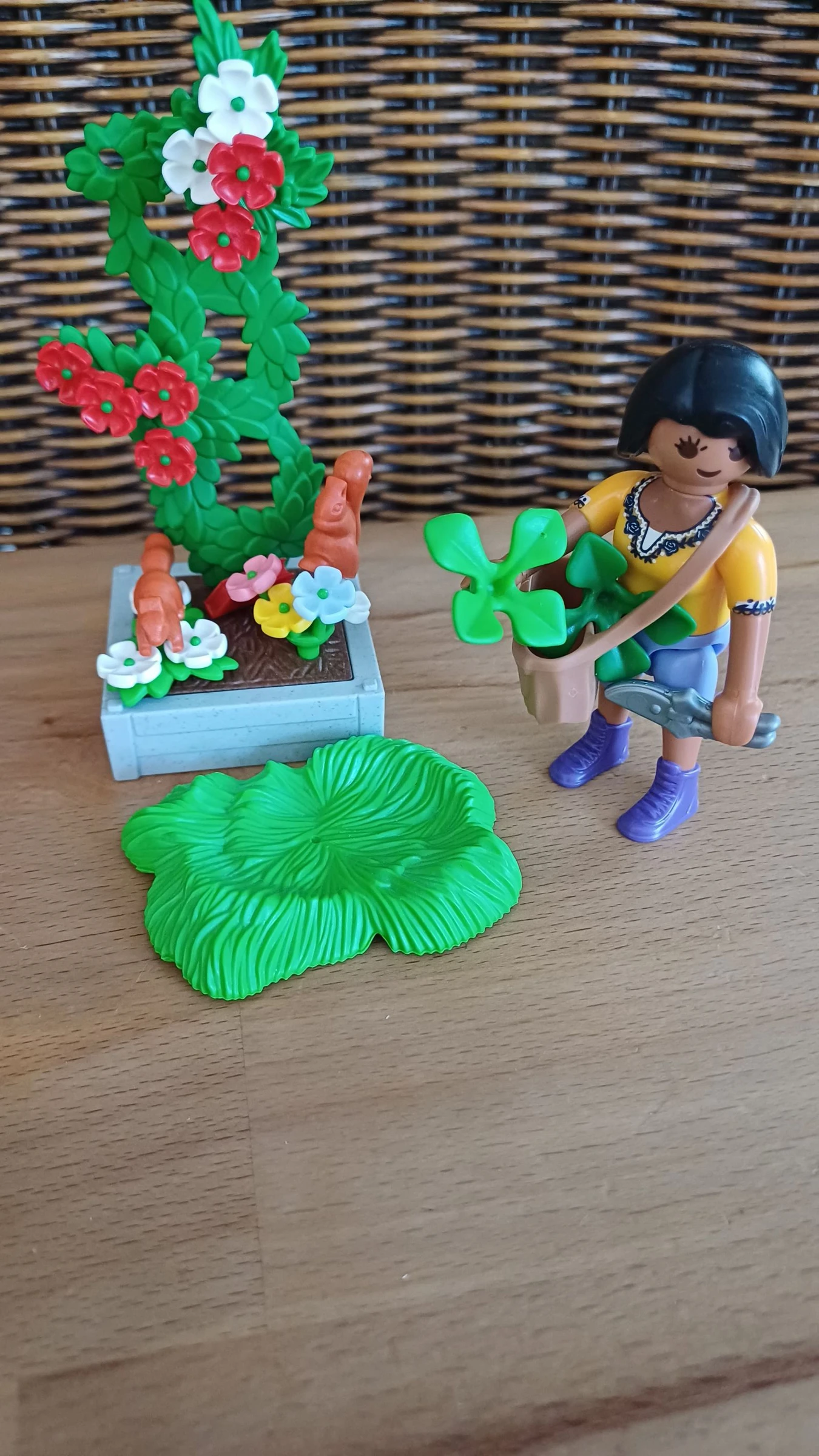 Herboriste playmobil – photo 8